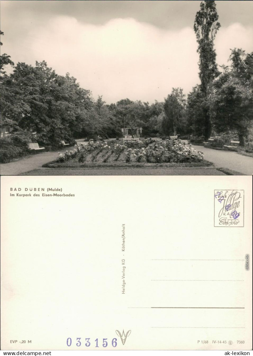 Ansichtskarte Bad Düben Kurpark Des Heilbad (Eisen-Moorbad) 1969 - Bad Düben