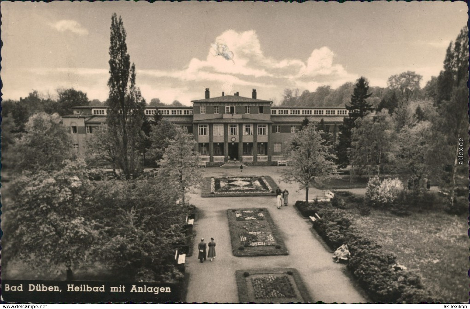 Ansichtskarte Bad Düben Heilbad Mit Anlage 1962 - Bad Dueben