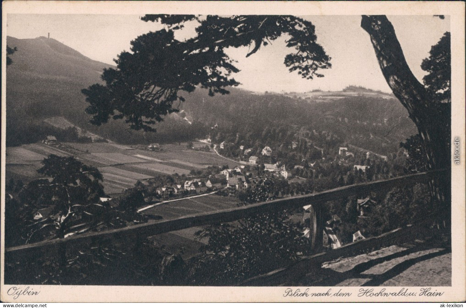 Ansichtskarte Ansichtskarte Oybin Panoramablick über Den Ort 1928 - Oybin