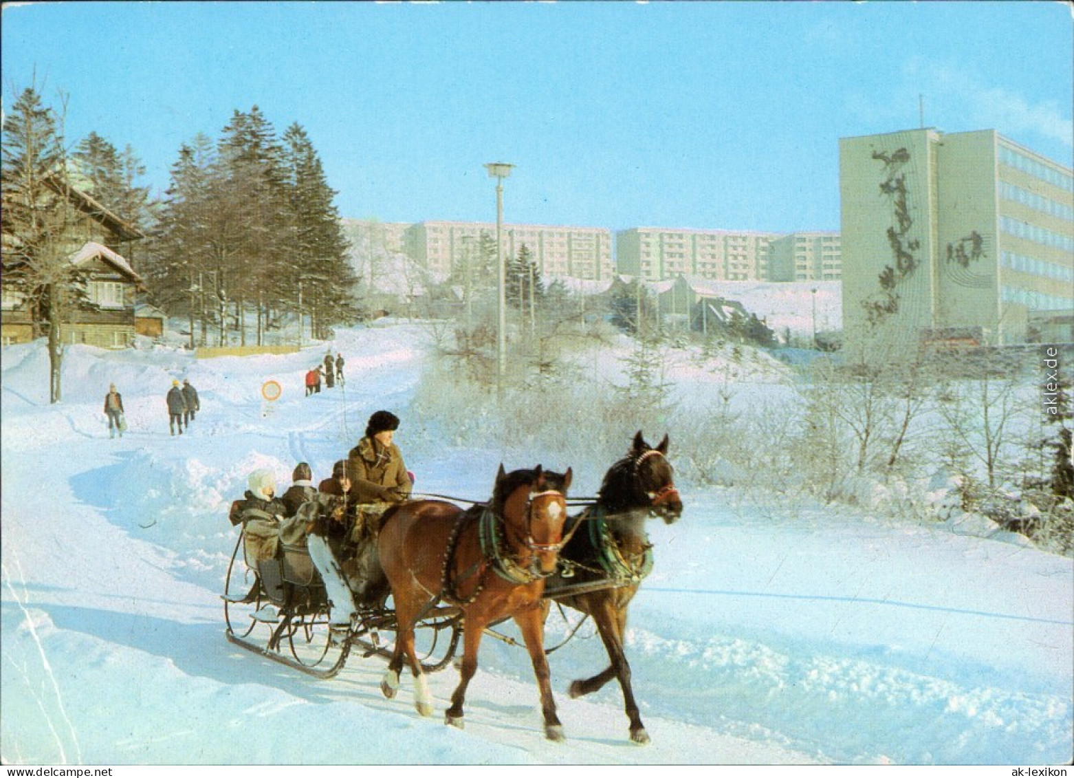 Oberwiesenthal Schlittenfahrt Ansichtskarte Bild Heimat G1985 - Oberwiesenthal