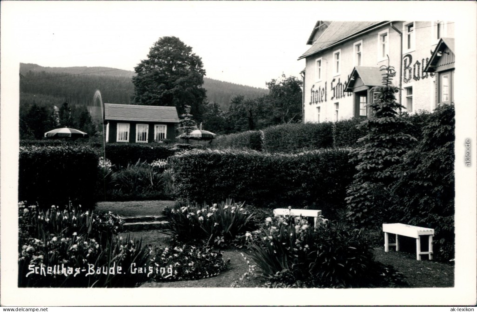 Ansichtskarte Geising Altenberg (Erzgebirge) Schellhas-Baude Mit Garten 1932 - Geising