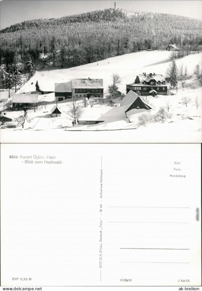 Ansichtskarte Oybin Panorama-Ansicht, Blick Zum Hochwald 1975 - Oybin