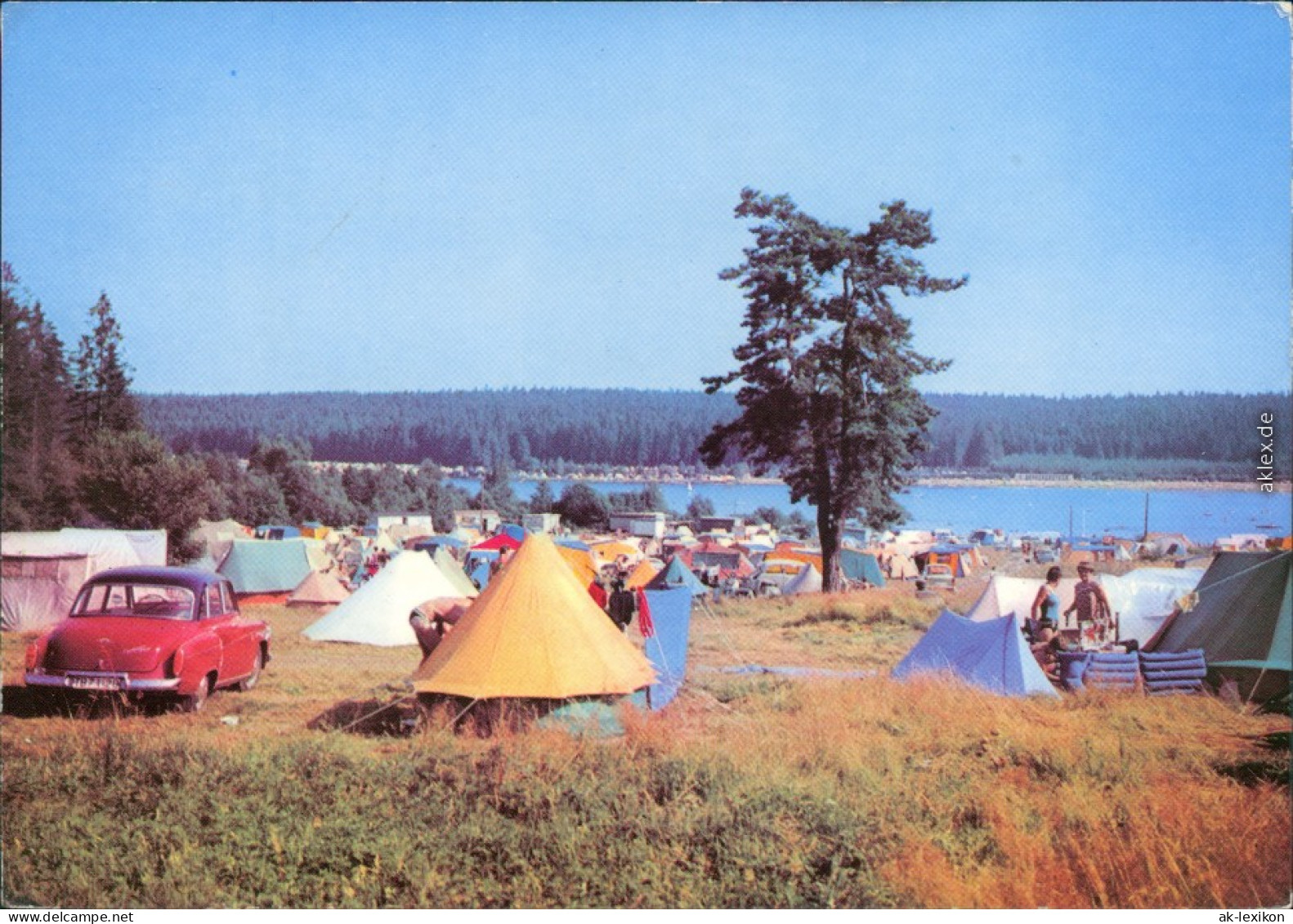 Ansichtskarte Ehrenfriedersdorf Greifenbachstauweiher Mit Campingplatz 1971 - Ehrenfriedersdorf