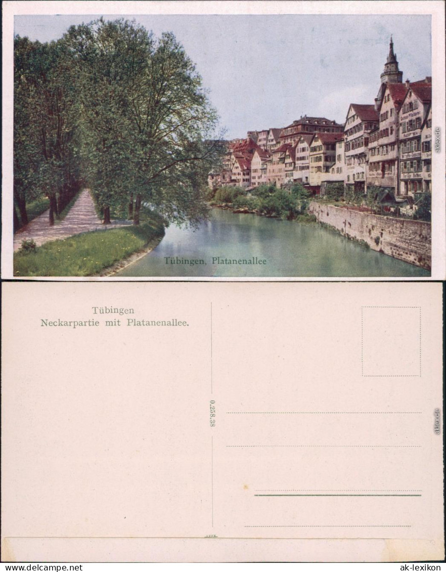 Ansichtskarte Tübingen Platanenallee Mit Neckarpartie 1922  - Tuebingen