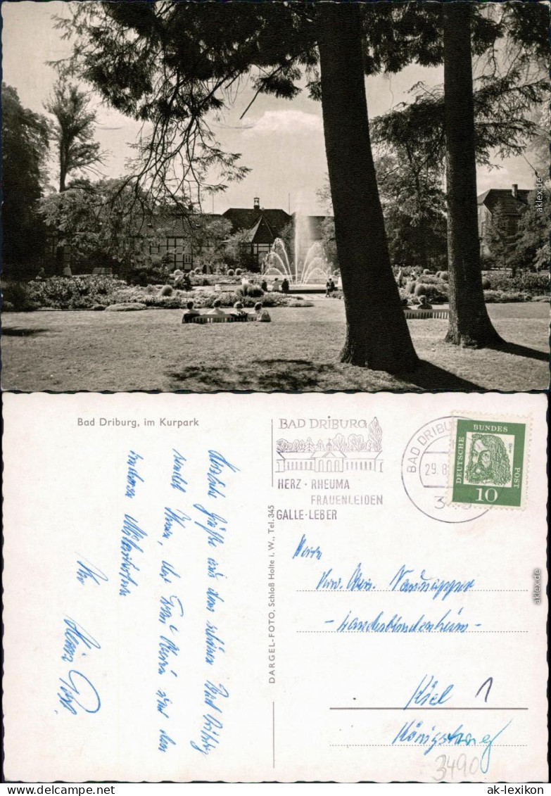 Ansichtskarte Bad Driburg Kurpark 1968 - Bad Driburg