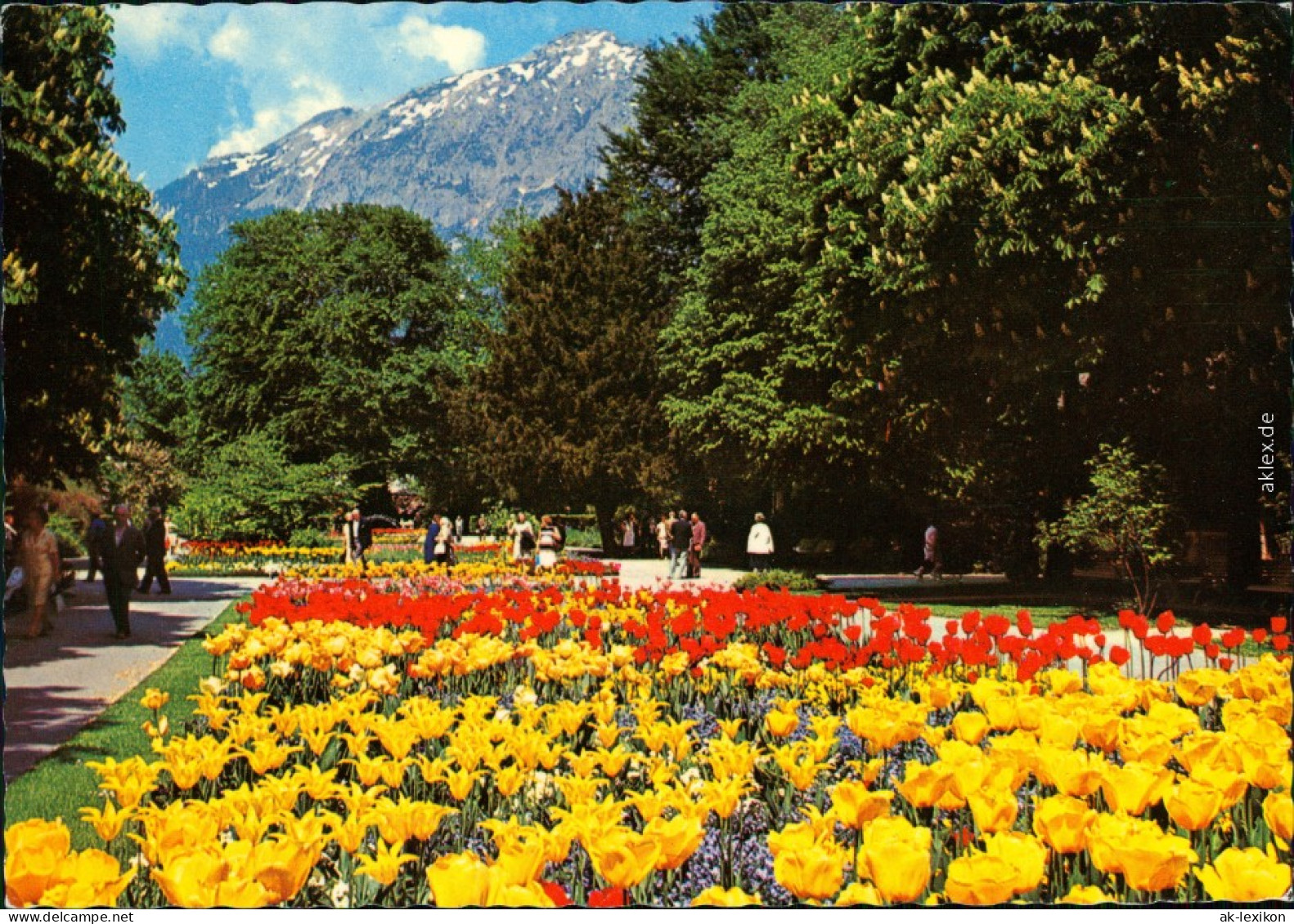 Ansichtskarte Bad Reichenhall Königlicher Kurpark 1980 - Bad Reichenhall