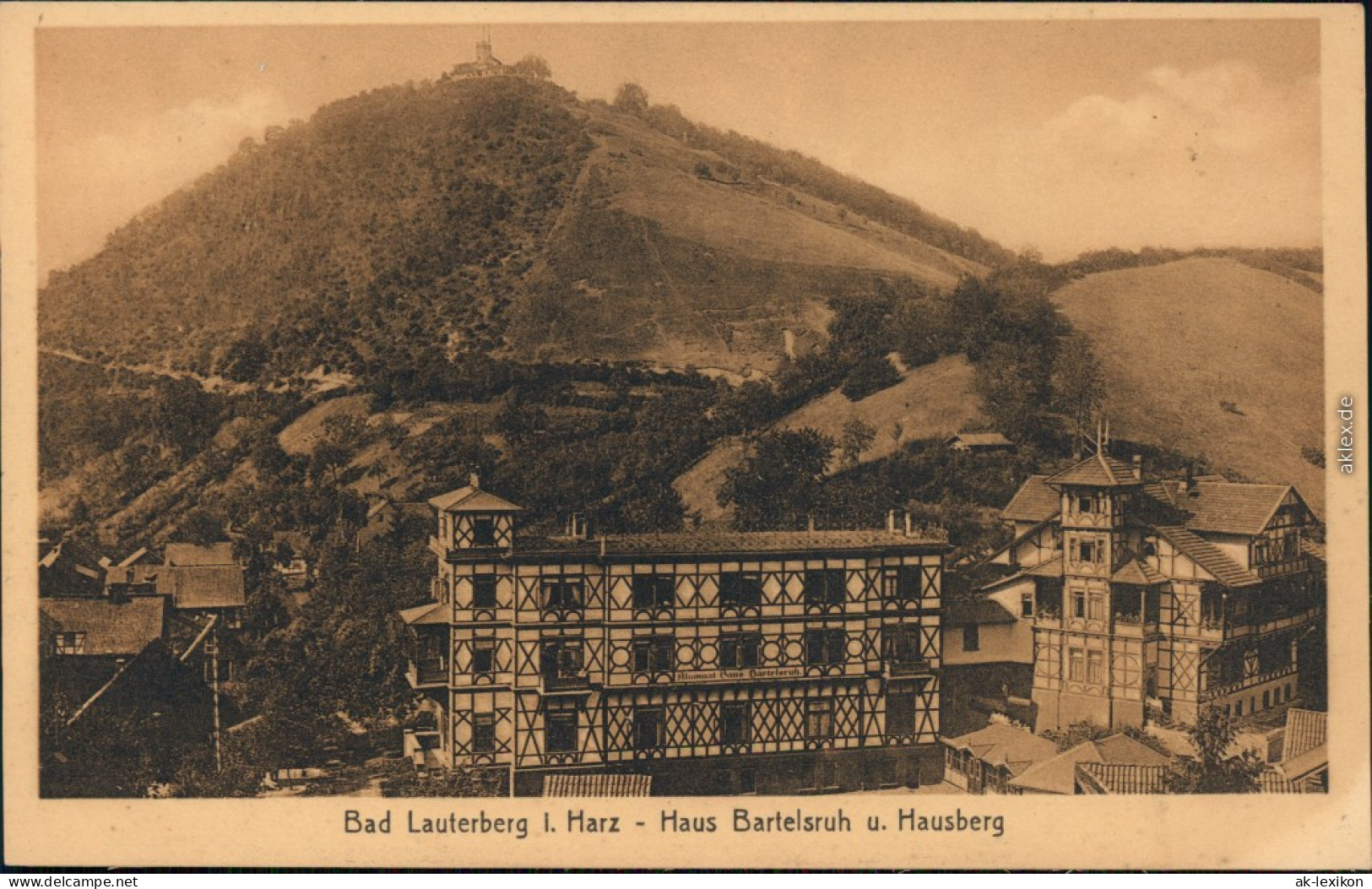 Ansichtskarte Bad Lauterberg Im Harz Haus Bartelsruh Und Hausberg 1922 - Bad Lauterberg