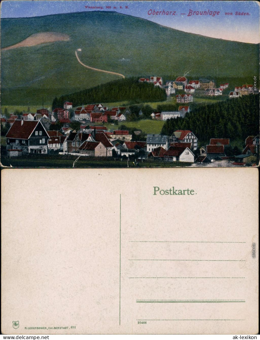 Ansichtskarte Braunlage Panorama-Ansicht 1913 - Braunlage
