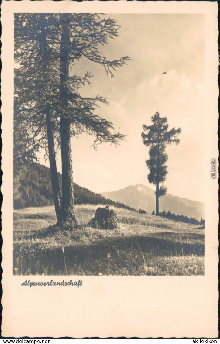Ansichtskarte  Alpenvorlandschaft 1957 - Non Classés