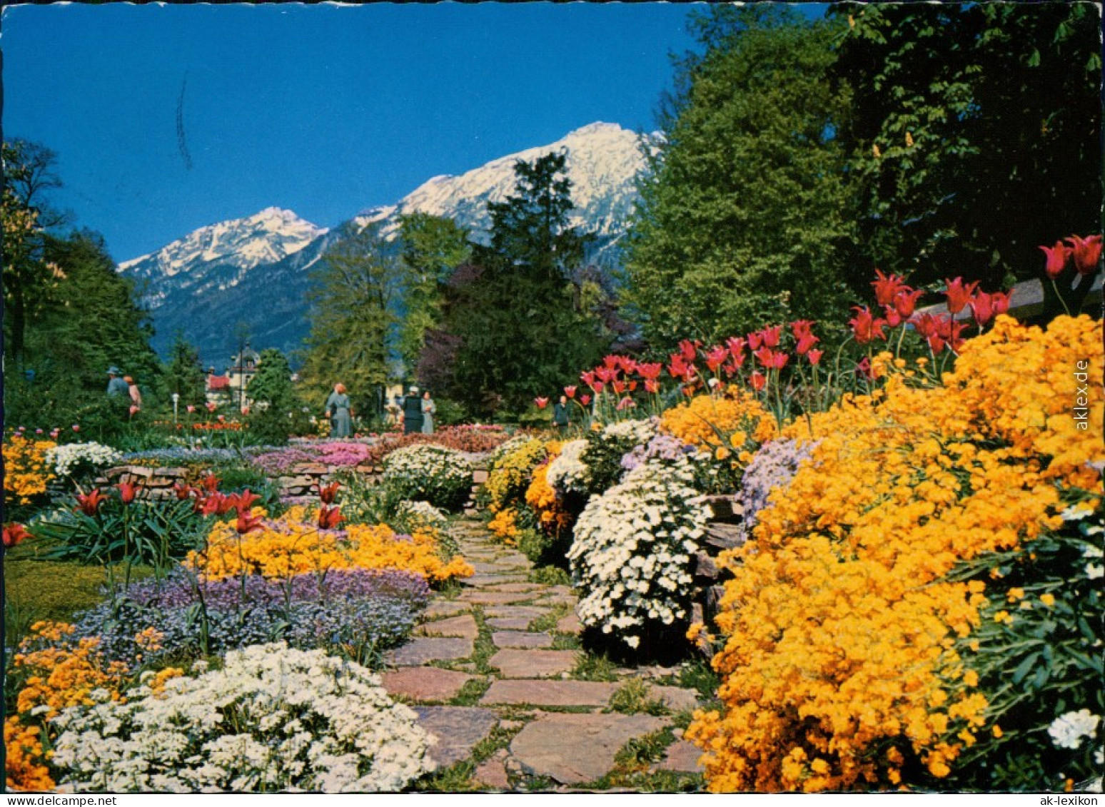 Ansichtskarte Bad Reichenhall Königlicher Kurpark Mit Vielen Blumen 1965 - Bad Reichenhall