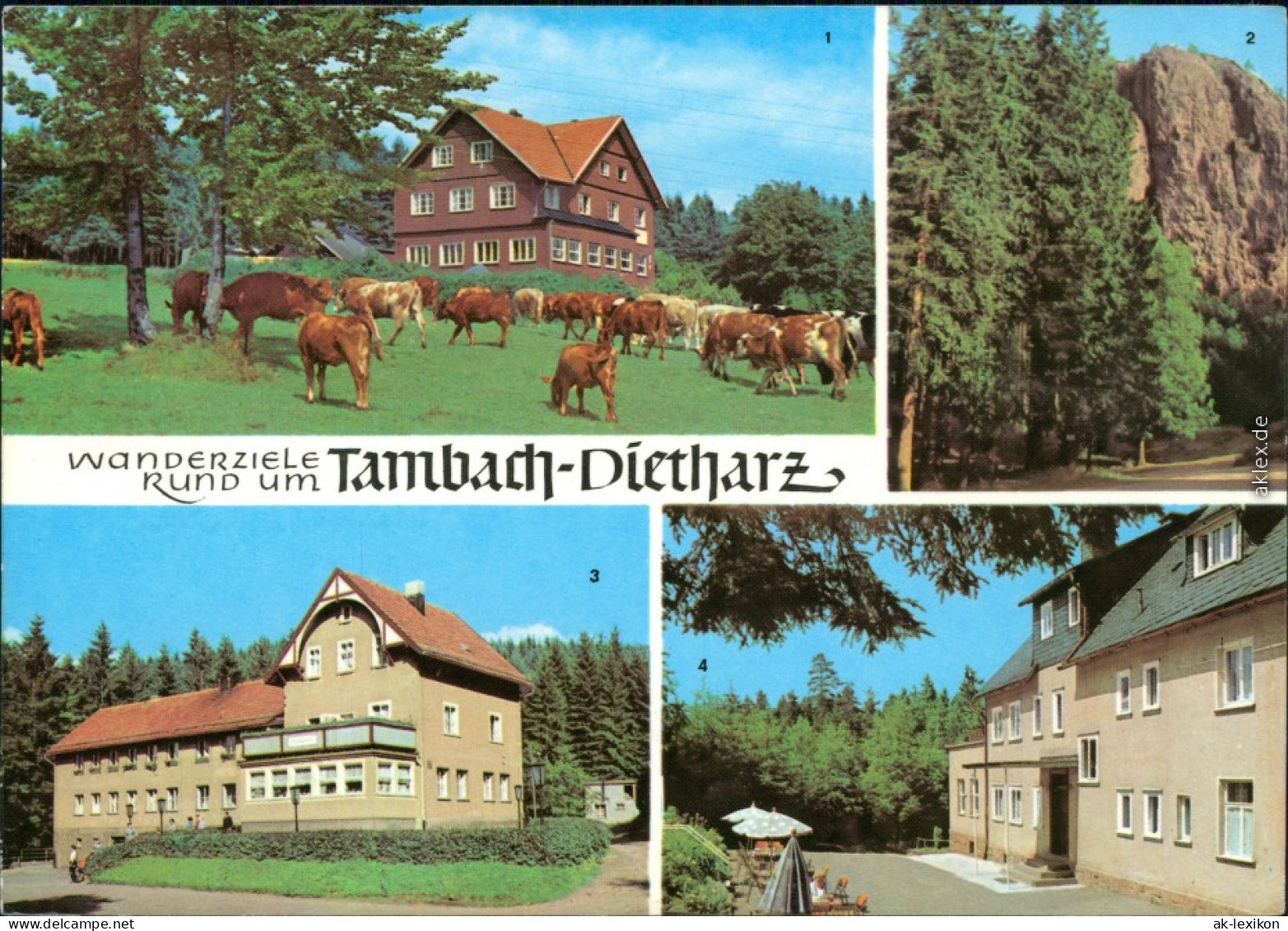 Tambach-Dietharz Berghotel Ebertswiese, Falkenstein,   HOG Waldbaude 1973 - Tambach-Dietharz