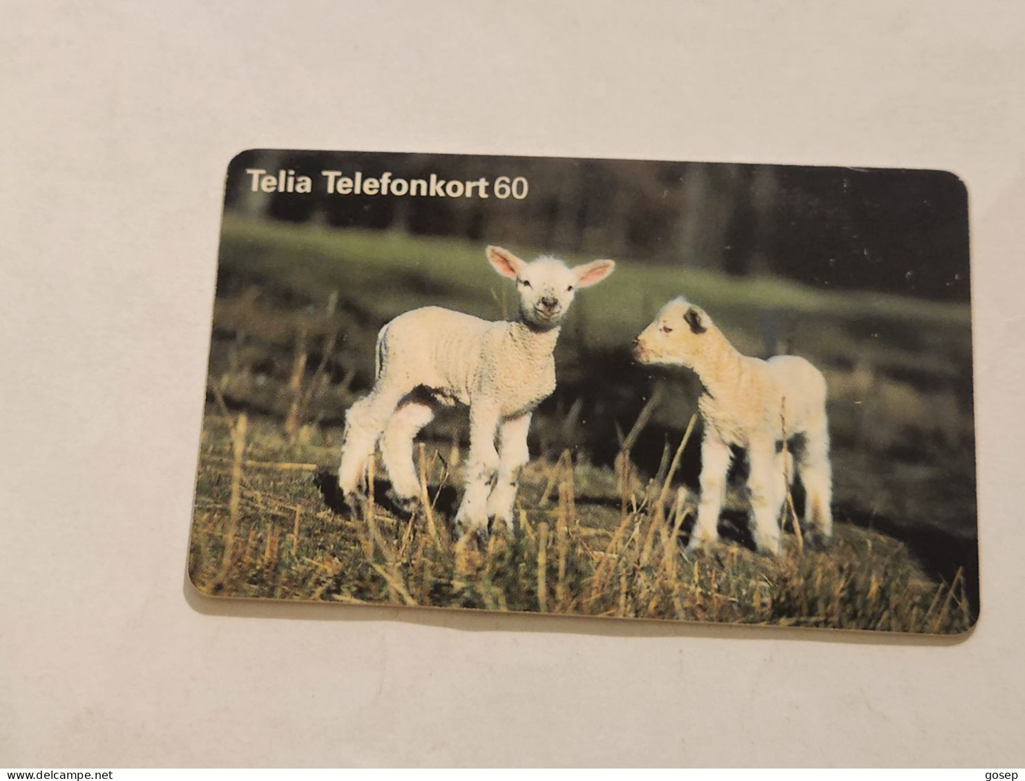 SWEDEN-(SE-TEL-060-0102)-Lambs-(26)(Telefonkort 60)(tirage-100.000)(1971831)-used Card+1card Prepiad Free - Suède