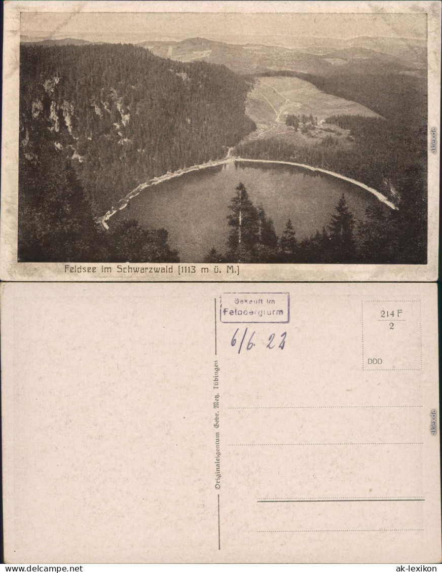 Luftbild Ansichtskarte Feldberg Feldsee 1922 - Feldberg