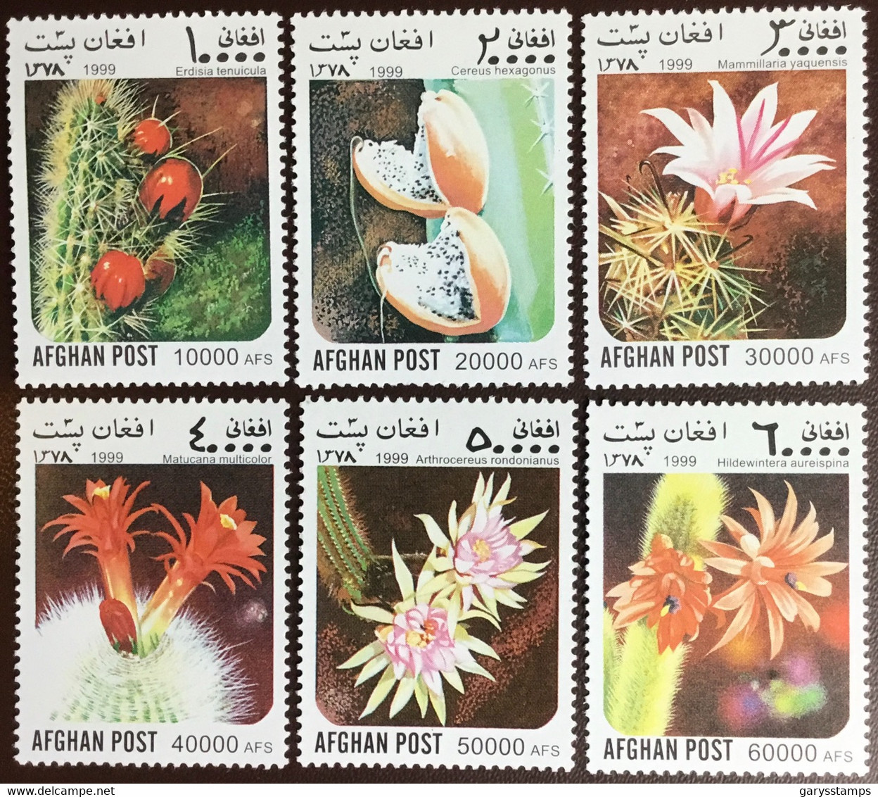 Afghanistan 1999 Cacti Flowers MNH - Sukkulenten