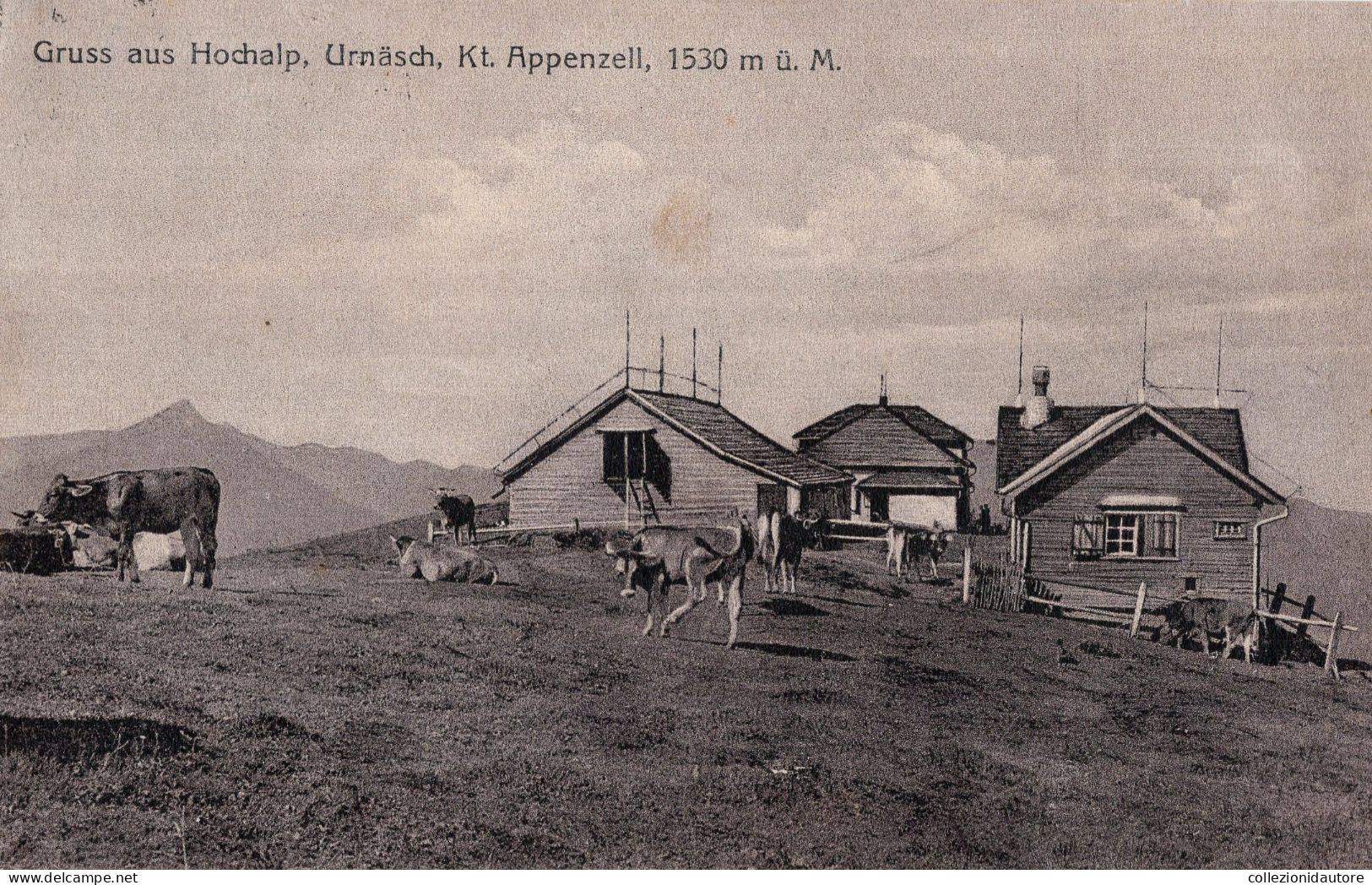 GRUSS AUS HOCHALP - URNÄSCH KT. APPENZELL - CARTOLINA FP SPEDITA NEL 1943 - Urnäsch