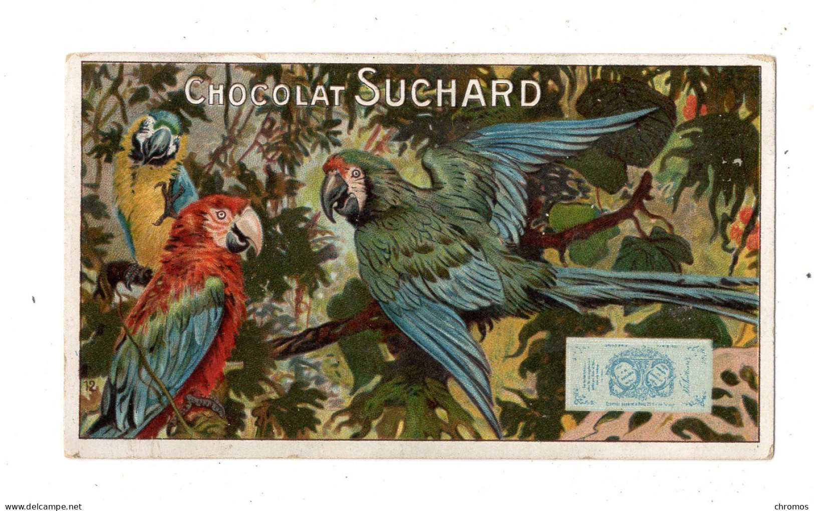 Chromo Chocolat Suchard, 142 / 12, Animaux Sauvages, Péroquets - Suchard