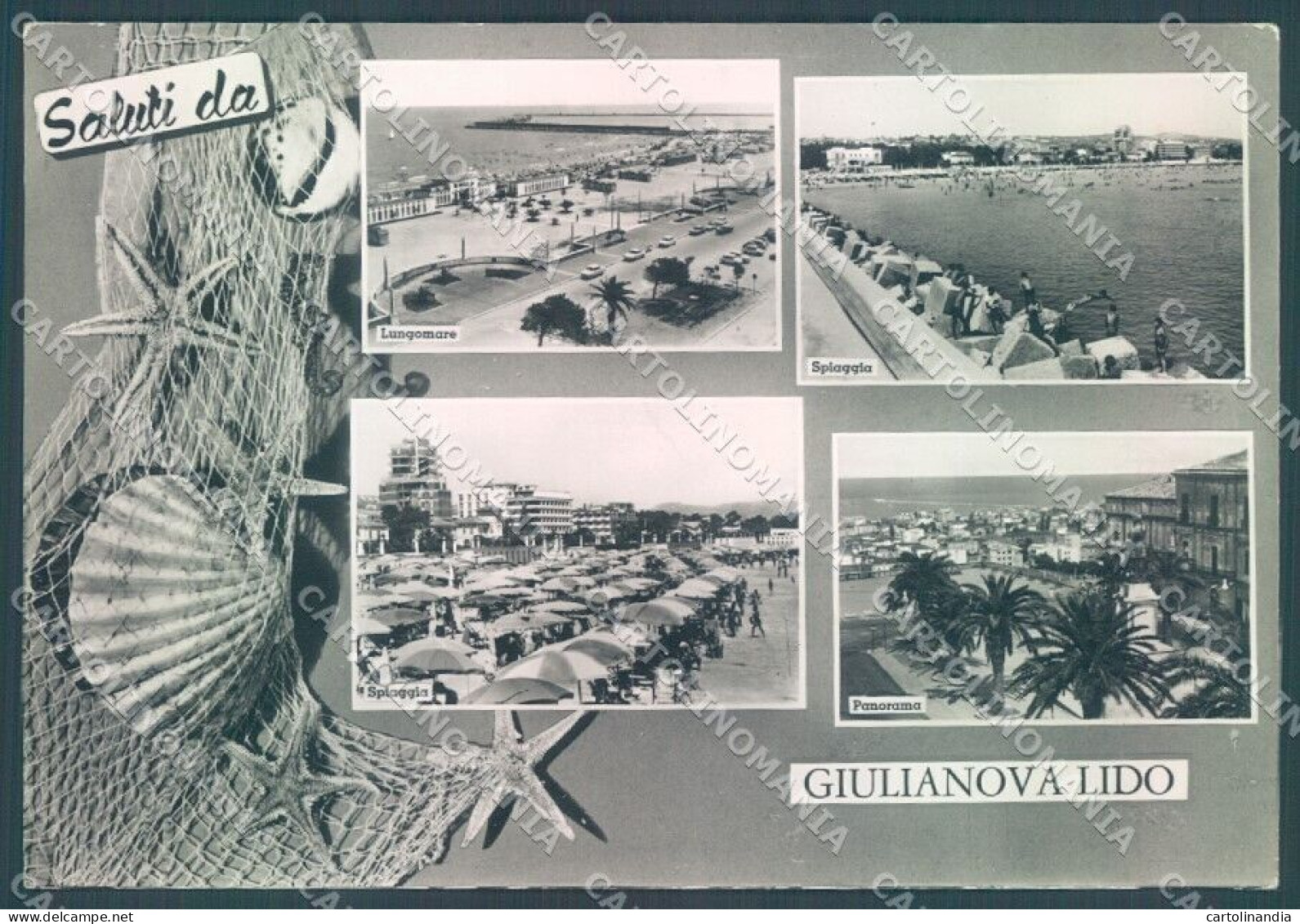 Teramo Giulianova Spiaggia Lungomare Saluti Da Foto FG Cartolina JK1602 - Teramo