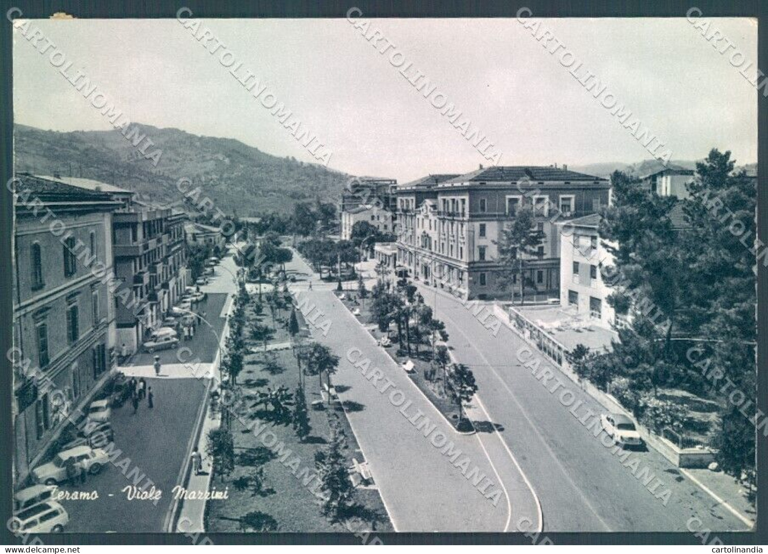 Teramo Città Viale Mazzini Foto FG Cartolina JK1812 - Teramo