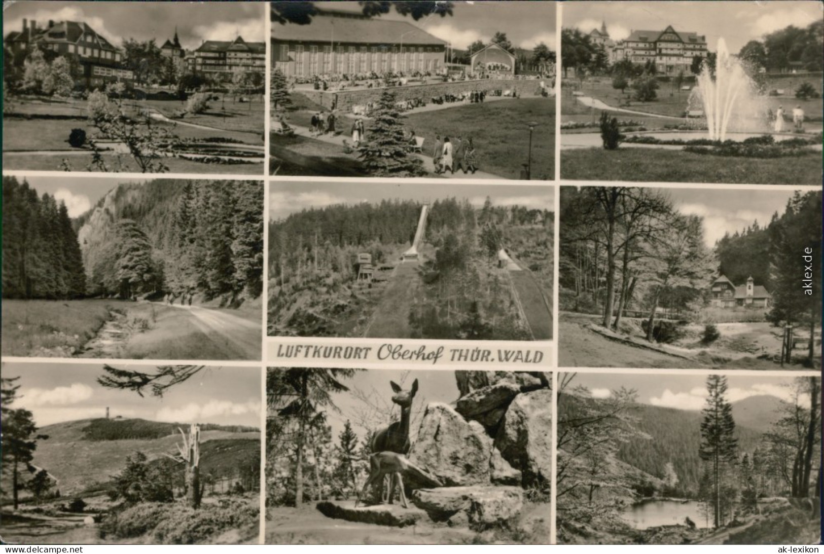 Oberhof (Thüringen) Kuranlagen, Kurpark Mit Freiluftbühne G1957 - Oberhof