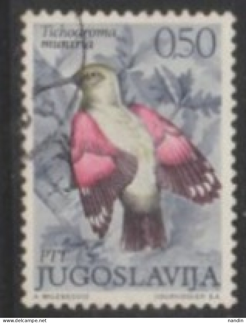 1972 YUGOSLAVIA USED STAMP ON BIRD/ Local Birds/Tichodroma Muraria/WALLCREEPER BIRD - Climbing Birds