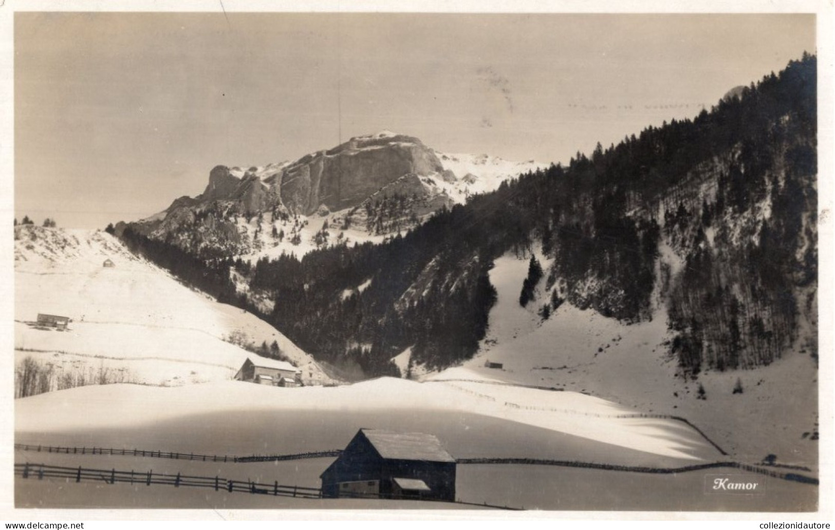 KAMOR - HERZLICHEN GLÜCKWUNSCH - ZUM NEUEN JAHRE - CARTOLINA FOTOGRAFICA FP SPEDITA NEL 1931 - Appenzell