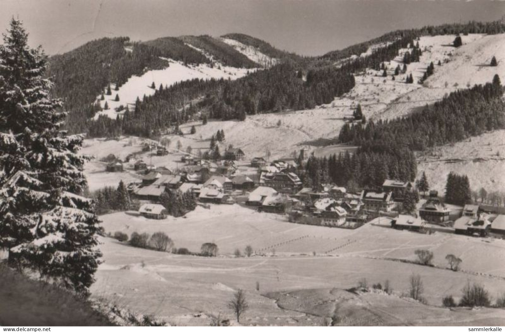 86298 - St. Blasien-Menzenschwand - Wintersportplatz - 1965 - St. Blasien