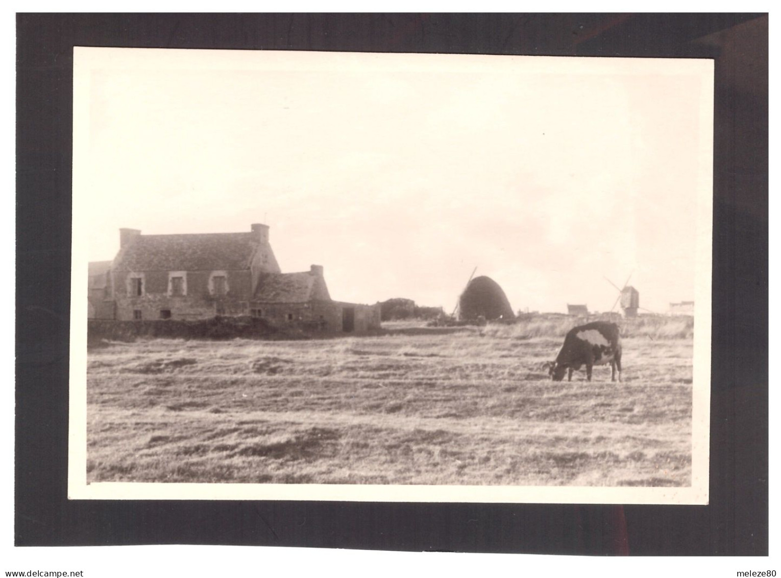 29  OUESSANT  Moulin  Maisons  2 Photos  7 X 10 Cm  3 Scans - Ouessant