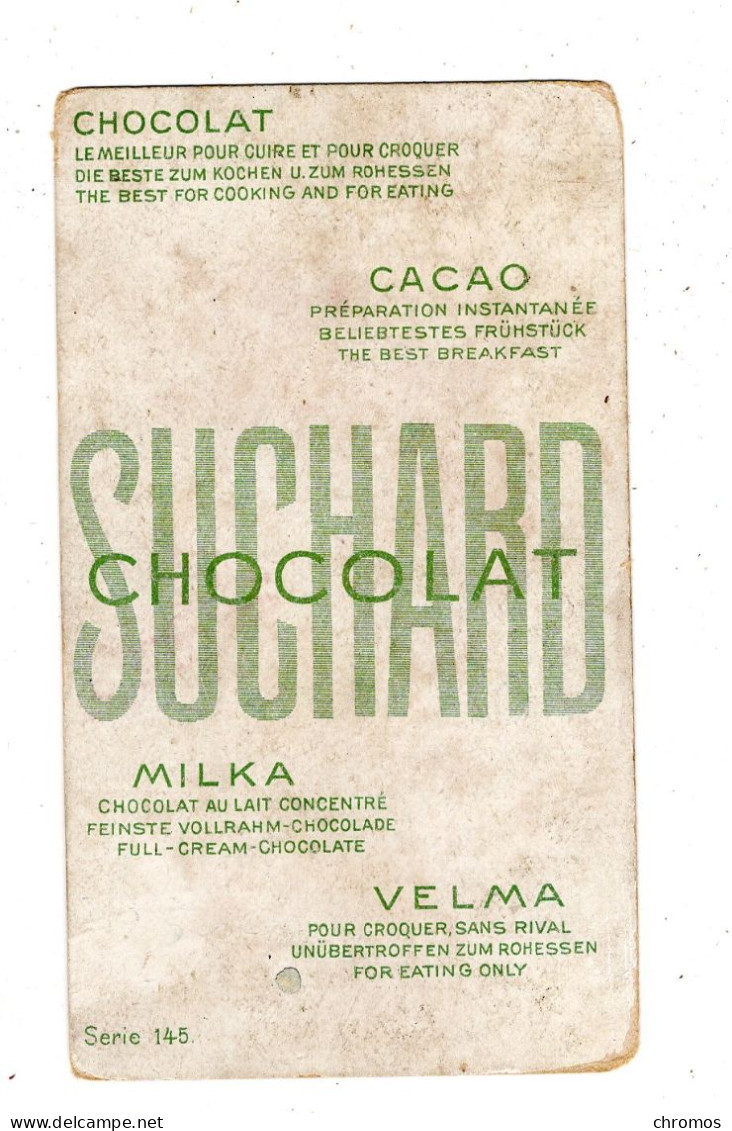 Chromo Chocolat Suchard, 145 / 8, Ours Humanisés, Suisse, Berne - Suchard