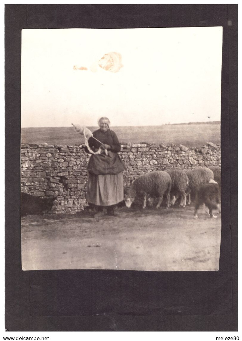 29  OUESSANT Bergère Et Ses Moutons  Photo Ancienne Vers 1900   9,5 X 11,5 Cm   2 Scans - Ouessant