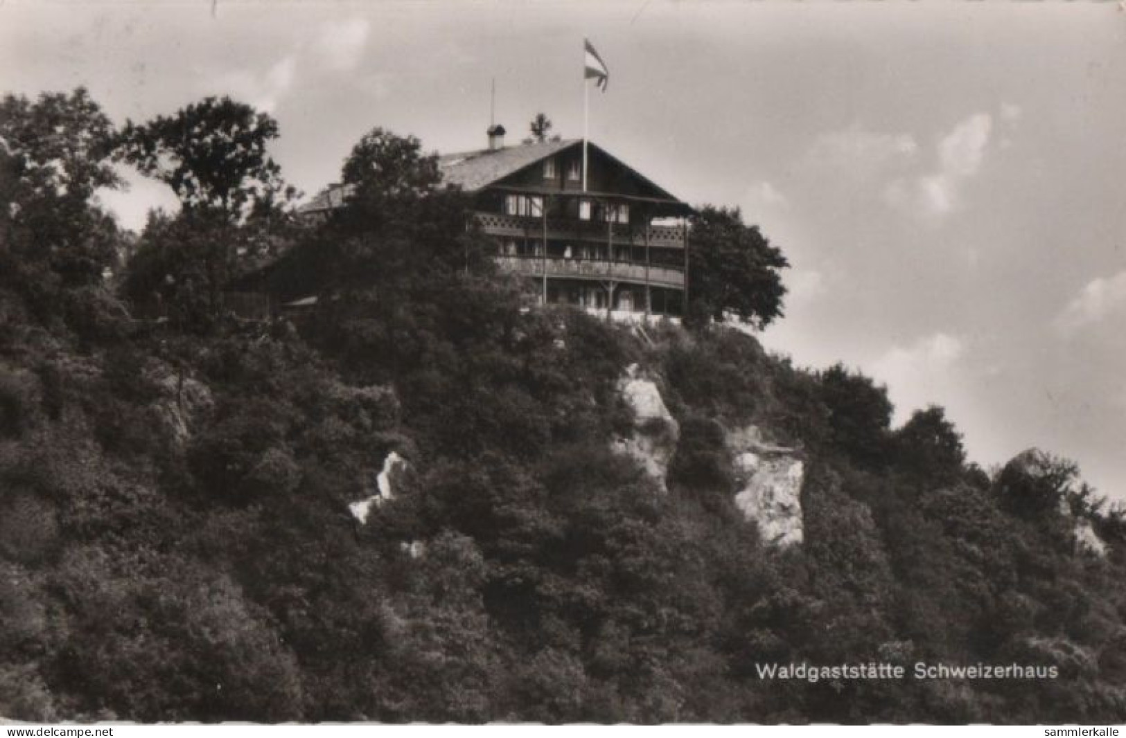111566 - Bingen Am Rhein - Waldgaststätte Schweizerhaus - Bingen