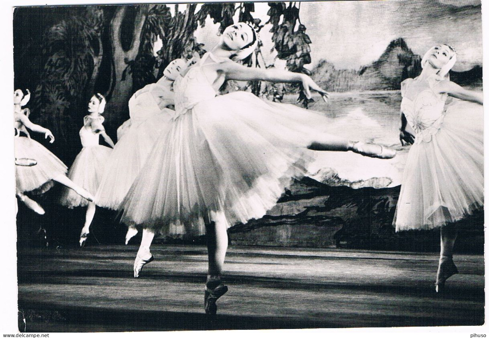 BALLET-12  The Royal Ballet - Swan Lake - Danza