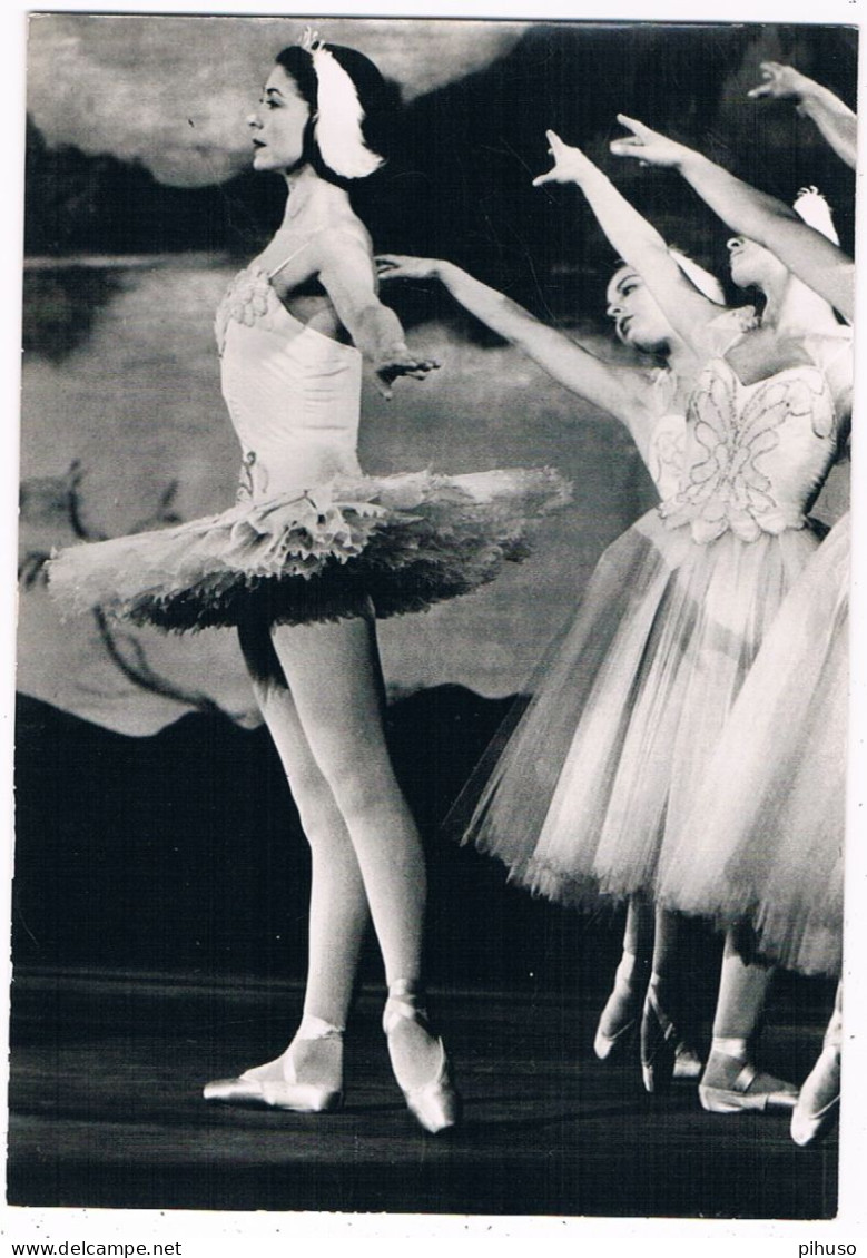 BALLET-14  The Royal Ballet - Margot Fonteyn - Danza