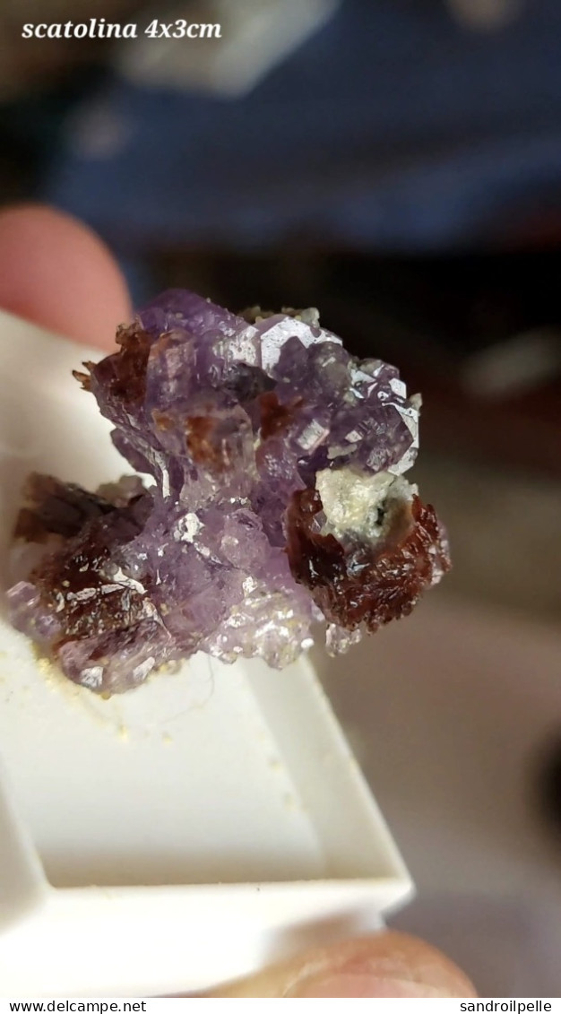 RARA COQUIMBITE ROEMERITE. MONTE ARSICCIO.TOSCANA - Minerals