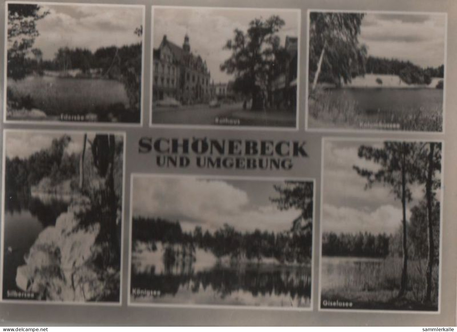 52181 - Schönebeck - U.a. Königsee - 1966 - Schoenebeck (Elbe)