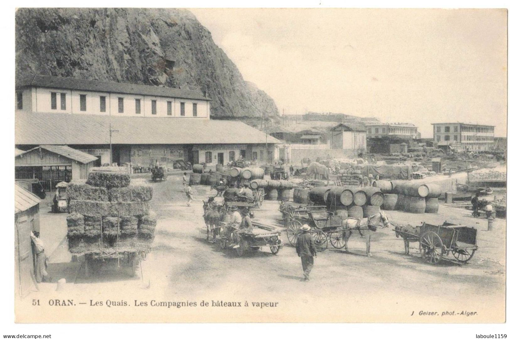 AFRIQUE DU NORD ALGERIE ORAN : LES QUAIS LES COMPAGNIES DE BATEAUX A VAPEUR - ATTELAGE CHEVAUX - Oran