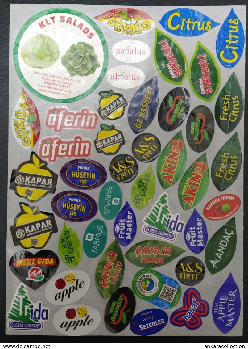 AC - FRUIT LABELS Fruit Label - STICKERS LOT #225 - Fruits Et Légumes