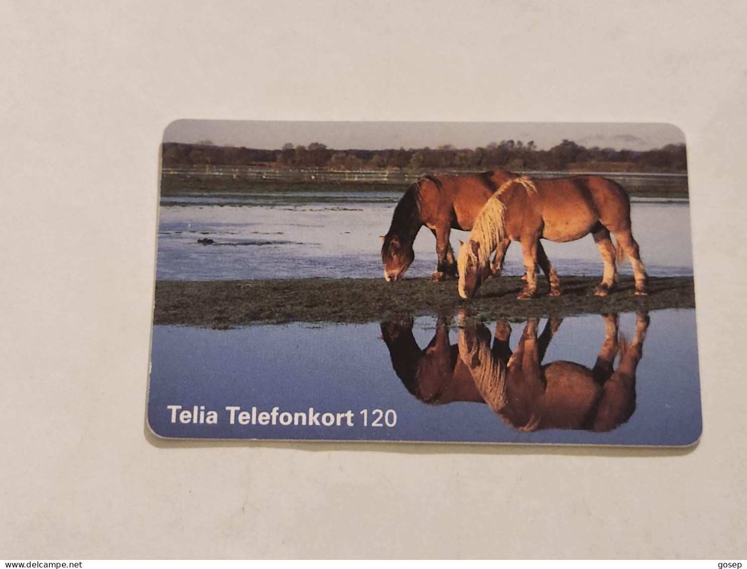 SWEDEN-(SE-TEL-120-0029)-Horses-(37)(Telefonkort 120)(tirage-100.000)(006181972)-used Card+1card Prepiad Free - Suecia