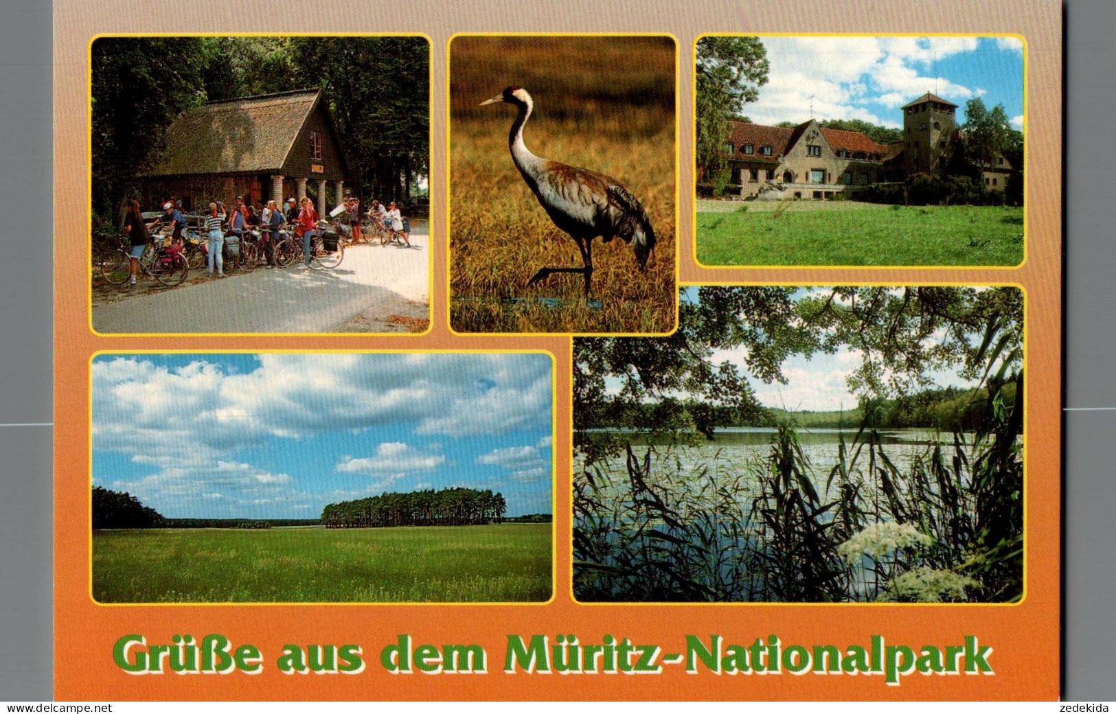 H1171 - TOP  Müritz - Bild Und Heimat Reichenbach Qualitätskarte - Roebel