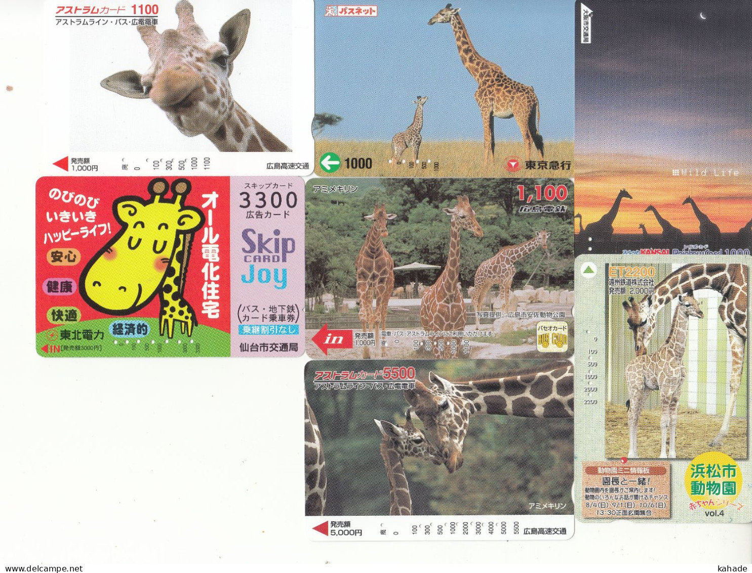 7 X Japan Thematik Cards Tickets Giraffe - Treinen