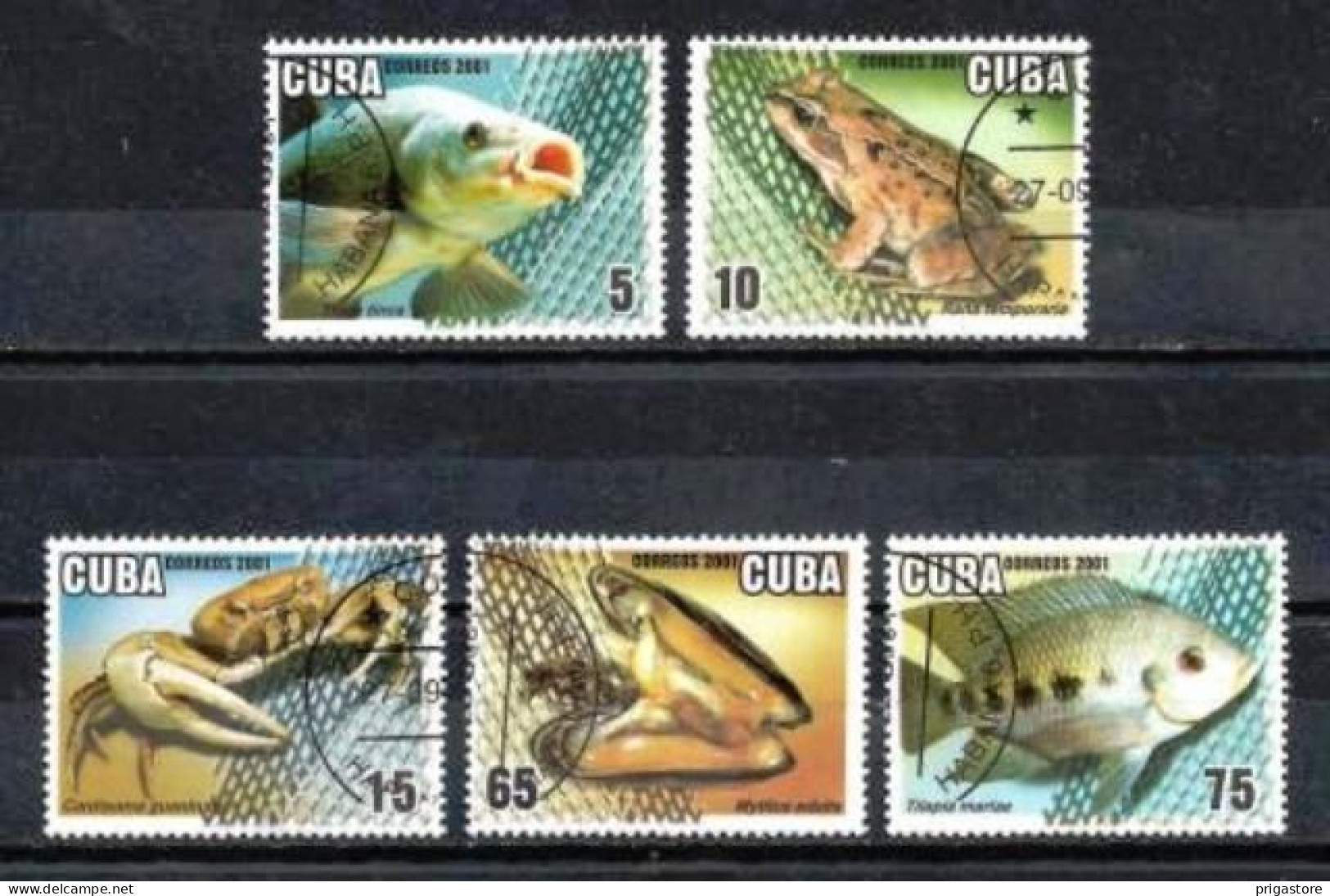 Cuba 2001 Animaux Aquaculture (92) Yvert 3945 à 3949 Oblitérés Used - Usati