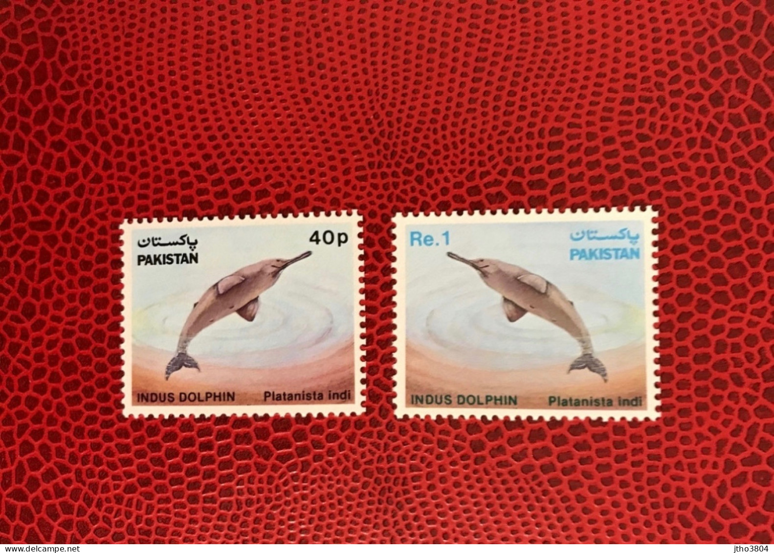 PAKISTAN 1979 2v Neuf MNH ** Mi 569 570 Delfín Dolphin Golfinho Delfin Delfino - Delfini