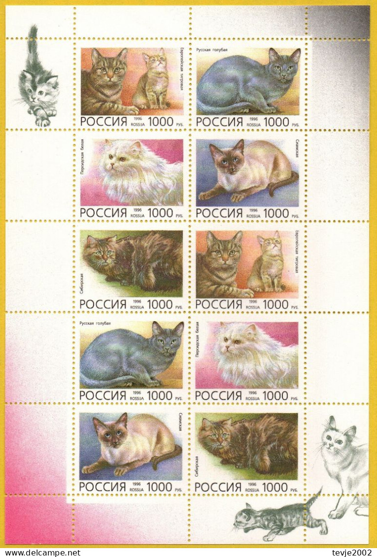 Russland 1996 - Mi.Nr. 485 - 489 Kleinbogen - Postfrisch MNH - Tiere Animals Katzen Cats - Chats Domestiques