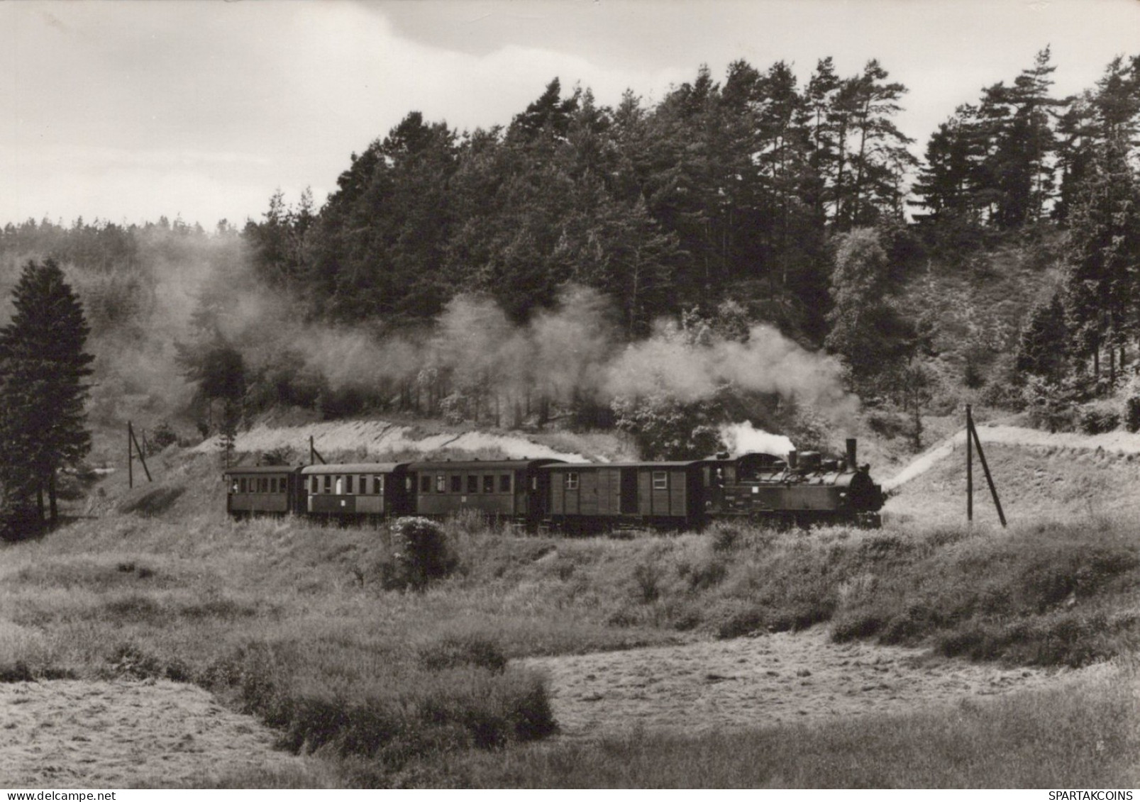 TREN TRANSPORTE Ferroviario Vintage Tarjeta Postal CPSM #PAA739.ES - Eisenbahnen