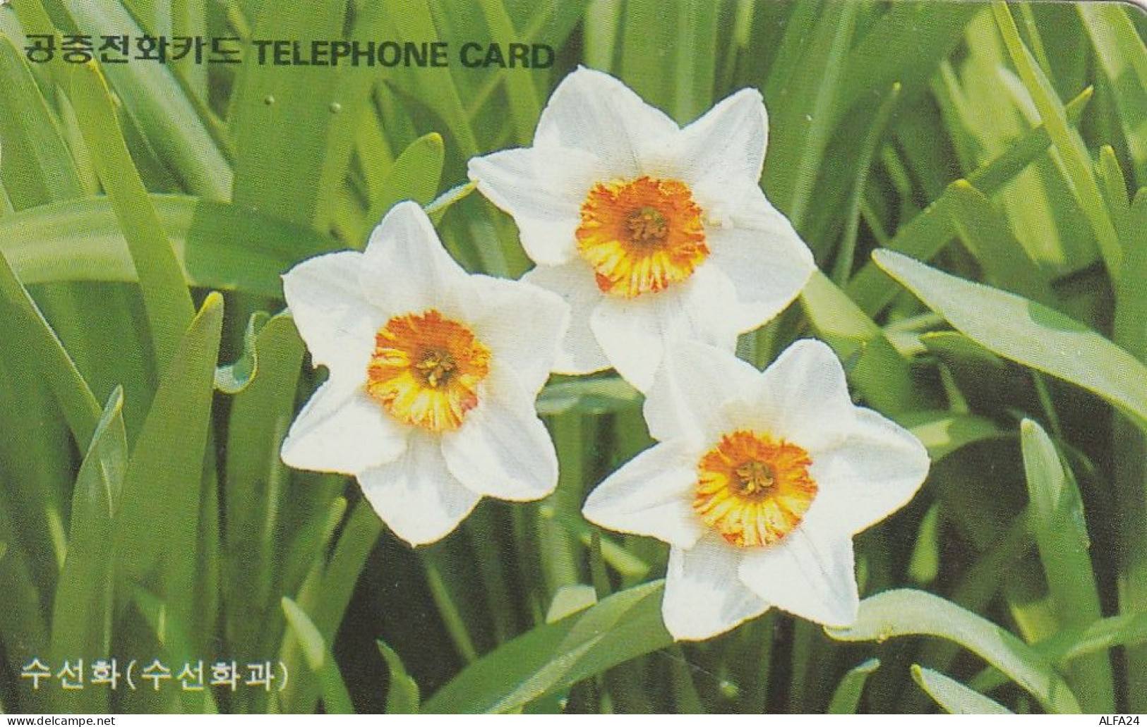 PHONE CARD COREA SUD  (CZ830 - Korea, South