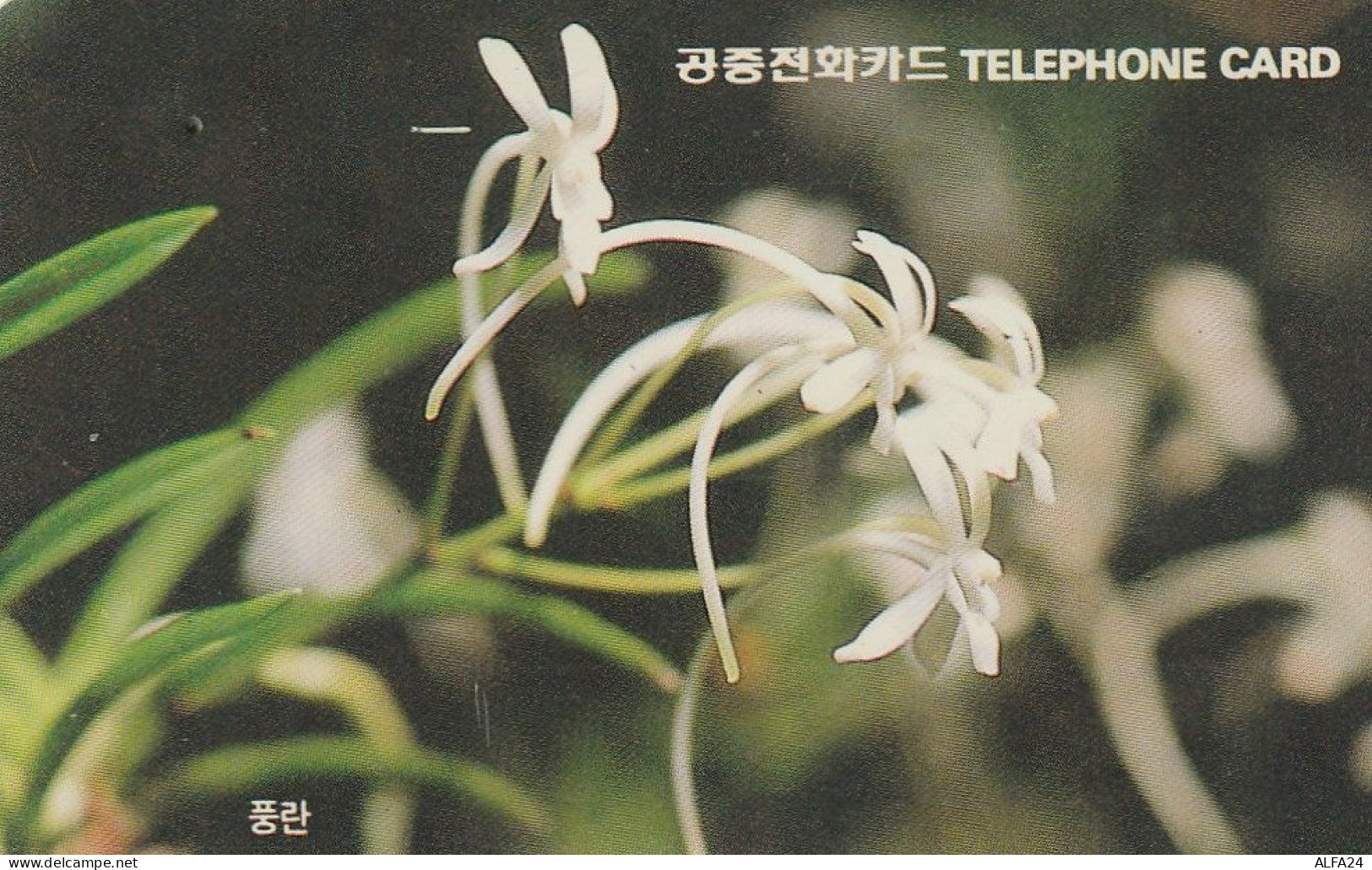 PHONE CARD COREA SUD  (CZ820 - Korea, South