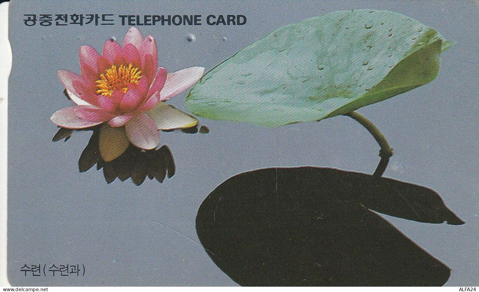 PHONE CARD COREA SUD  (CZ825 - Corea Del Sur