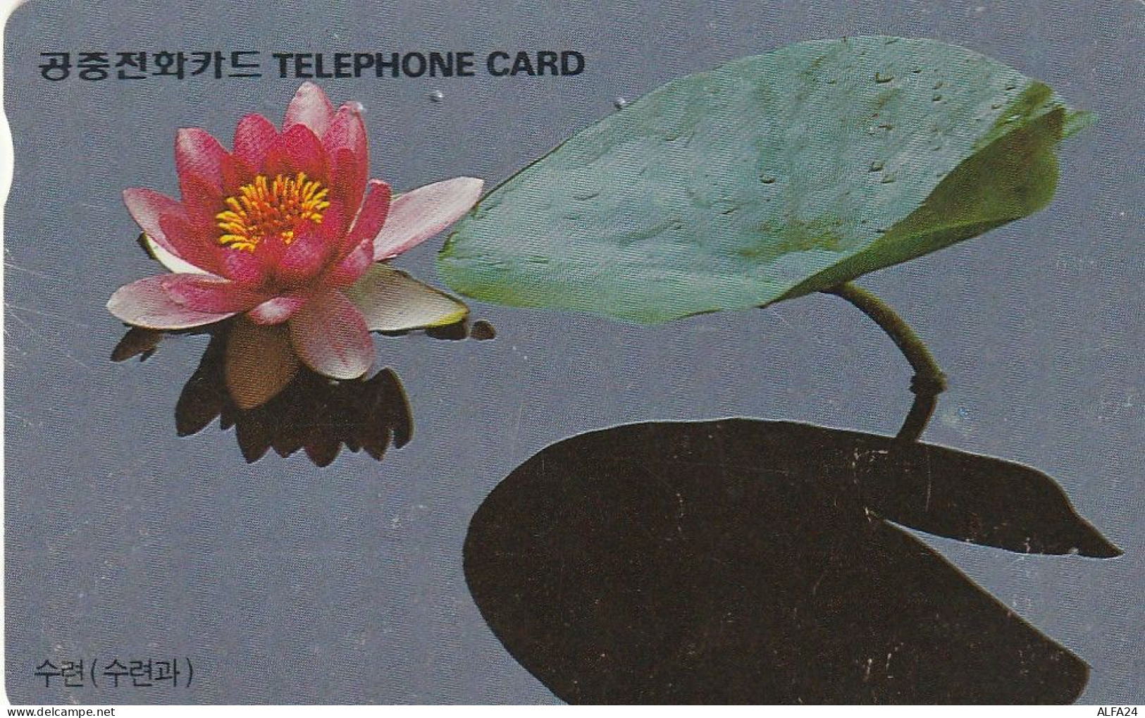 PHONE CARD COREA SUD  (CZ802 - Korea, South