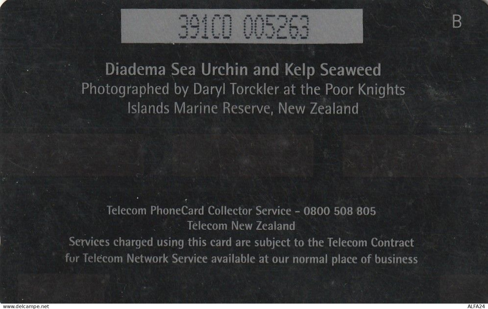 PHONE CARD NUOVA ZELANDA  (CZ668 - New Zealand