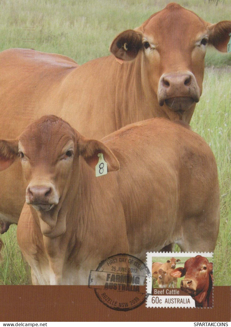 MUCCA Animale Vintage Cartolina CPSM #PBR802.IT - Vaches