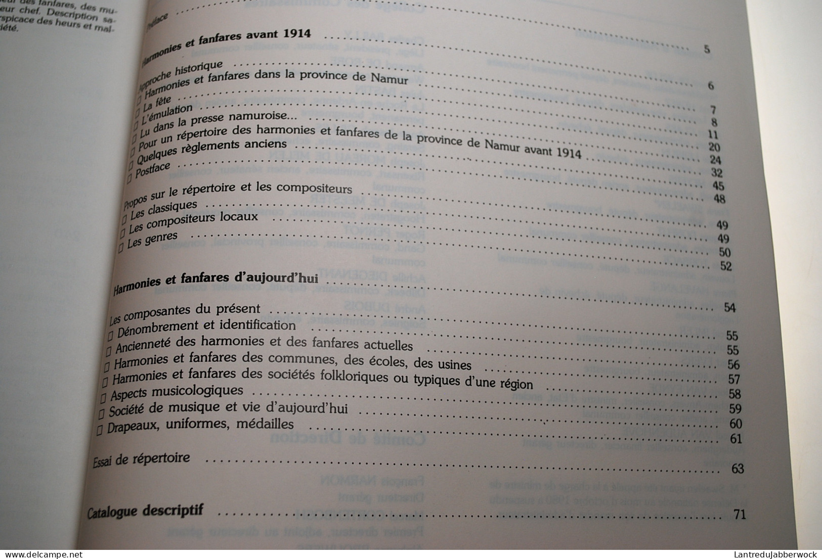 HARMONIES ET FANFARES EN NAMUROIS Régionalisme Namur Fanfare Couvin Spy Kiosque Fraire Berzée Mettet Salzinnes Postiers - Belgien